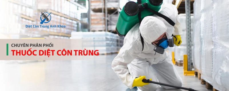 Quy trình Dịch Vụ Diệt Gián Tại Quận Dương Kinh của Anh Khoa