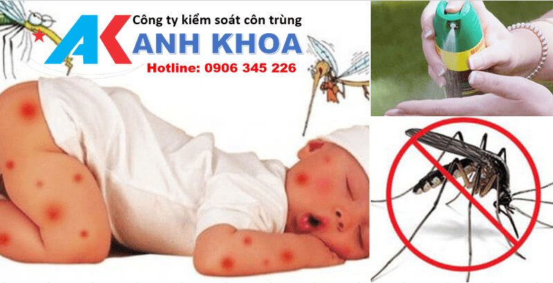 Dịch vụ phun thuốc diệt muỗi tại huyện Quốc Oai