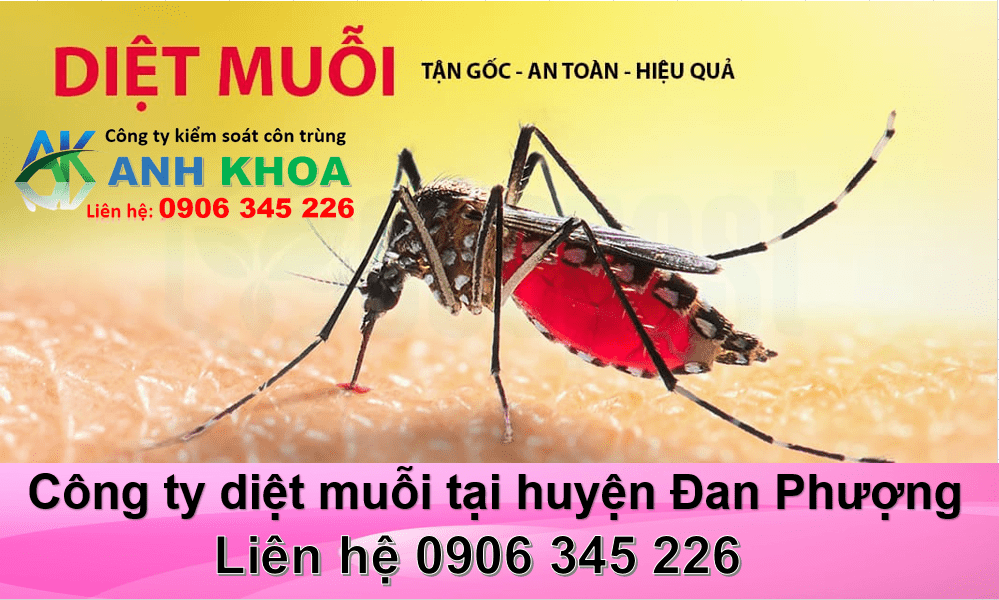 Dịch vụ phun thuốc diệt muỗi tại huyện Đan Phượng