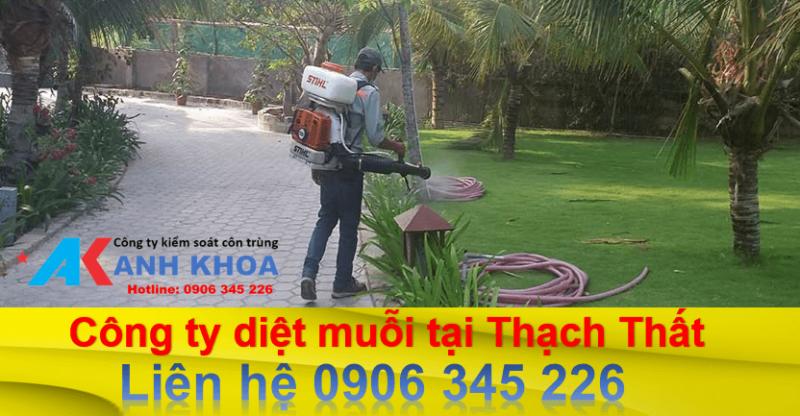 Dịch vụ phun thuốc diệt muỗi tại huyện Thạch Thất