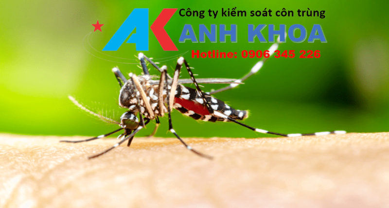 Dịch vụ phun thuốc diệt muỗi tại huyện Sóc Sơn