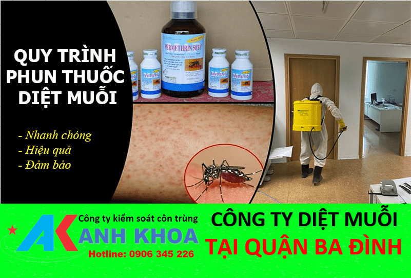 Dịch vụ phun thuốc diệt muỗi tại quận Ba Đình