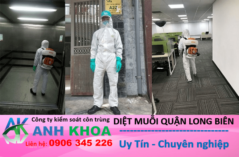 Dịch vụ phun thuốc diệt muỗi tại quận Long Biên