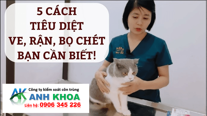 Đối tượng nên sử dụng Dịch vụ diệt bọ chét
