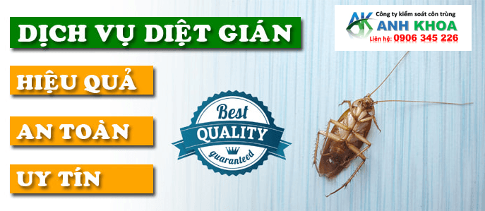 Ưu Điểm Của Dịch Vụ Diệt Gián Tại Quận Đồ Sơn của Anh Khoa