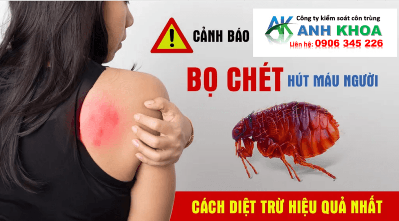 Dấu hiệu nhận biết nhà bạn có bọ chét