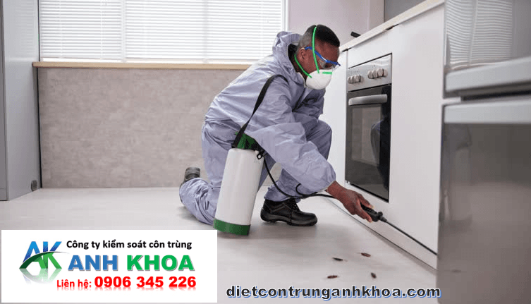 Vì sao cần diệt côn trùng định kỳ tại Dương Kinh?