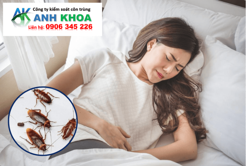 Dịch Vụ Diệt Côn Trùng Tại Quận Đồ Sơn