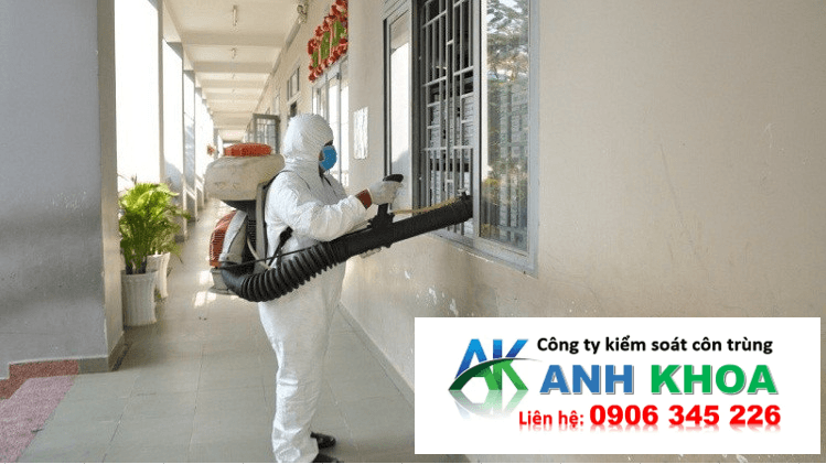 Dịch Vụ Phun Thuốc Diệt Muỗi Tại Quận Hải An Của Anh Khoa Có Gì Khác Biệt?