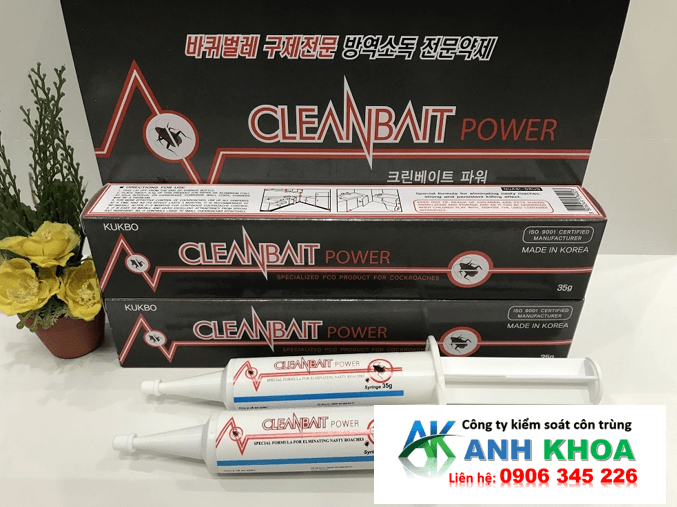 Cam Kết Từ Dịch Vụ Diệt Gián Tại Quận Đồ Sơn tại Anh Khoa