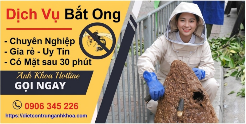 Dịch vụ bắt ong chuyên nghiệp tại Lạng Sơn